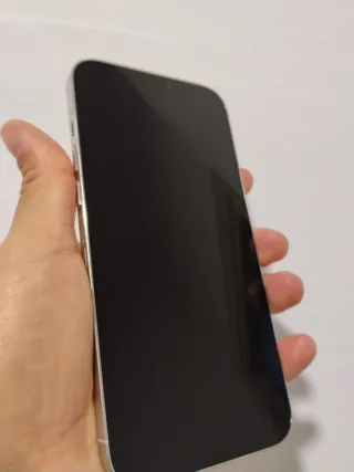 iPhone 12 Pro Max 256GB Plata