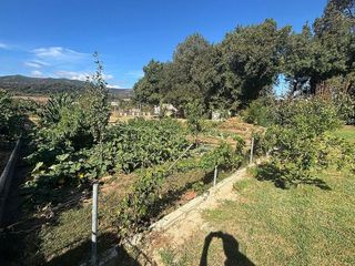 Terreno en venta en Barrios (Los)