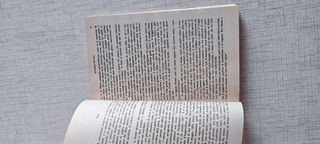 Madame Bovary - Gustave Flaubert (Ed. Rakam) libro