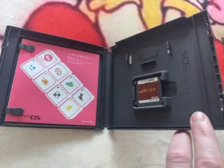 Nintendo DS - Diccionario Japonés