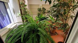 Piso en venta en Nueva Torrevieja - Aguas Nuevas en Torrevieja