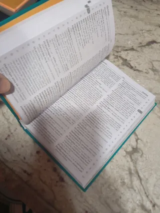 Diccionario manual griego clásico-español