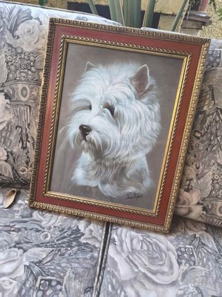 Cuadro pintura Westie