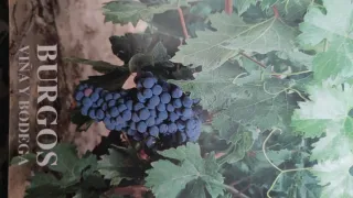 Colección Páginas para nuestro pueblo