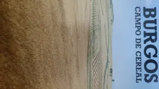 Colección Páginas para nuestro pueblo