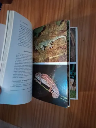 Guía de campo de los anfibios y reptiles