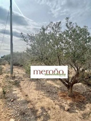 Solar en venta en Centro en Elche