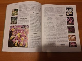 Il grande libro dei fiori e delle piante