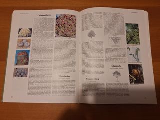 Il grande libro dei fiori e delle piante