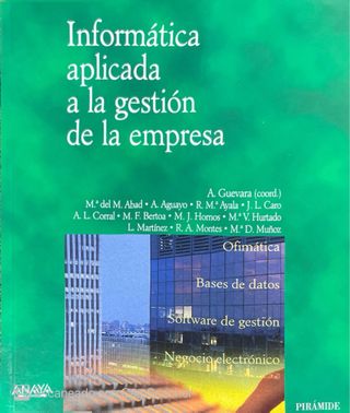 Lote Informática aplicada a la empresa