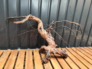 Raíz/tronco Decoración acuario OFERTA SOLO HOY!