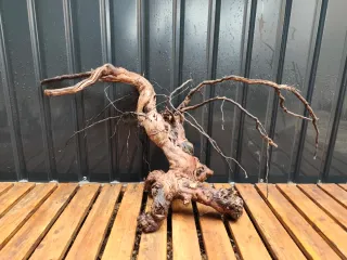 Raíz/tronco Decoración acuario OFERTA SOLO HOY!