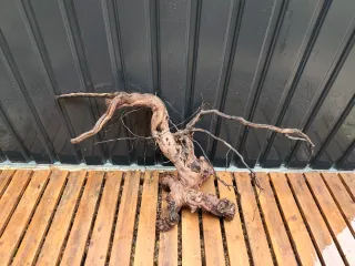 Raíz/tronco Decoración acuario OFERTA SOLO HOY!