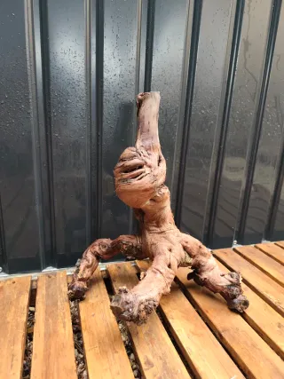 Raíz/tronco Decoración acuario OFERTA SOLO HOY!