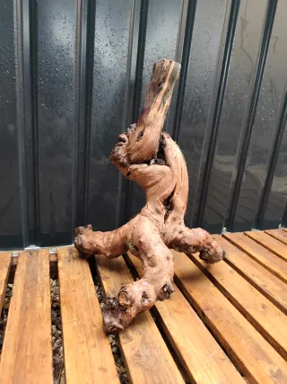 Raíz/tronco Decoración acuario OFERTA SOLO HOY!