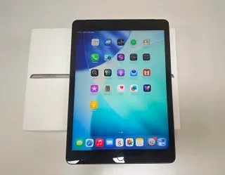 iPad 9ª Gen Wifi+Celular 256GB Gris Espacial