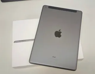 iPad 9ª Gen Wifi+Celular 256GB Gris Espacial