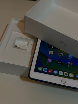 Apple iPad Plata/Blanco