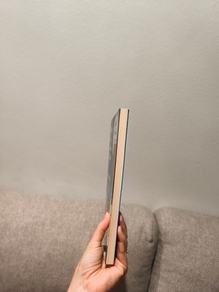 El chico de la ventana del baño