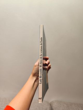 El chico de la ventana del baño