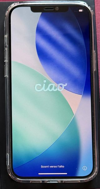 iPhone 12 Pro Max 256GB Apple Oro/Grigio