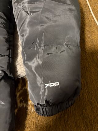 Chaqueta The North Face Gris