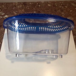 Mini pecera para transportar peces