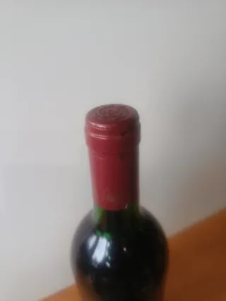 Vino CANALS & NUBIOLA 1992 DO Penedès