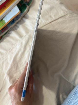 Què seré quan sigui gran?