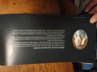 Varita Dumbledore y Libro Varitas Harry Potter