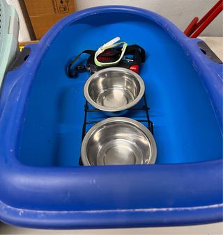 transportin, arenero, correa, comedero, collar