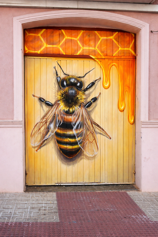 Servicios de Pintura y Decoración Profesional