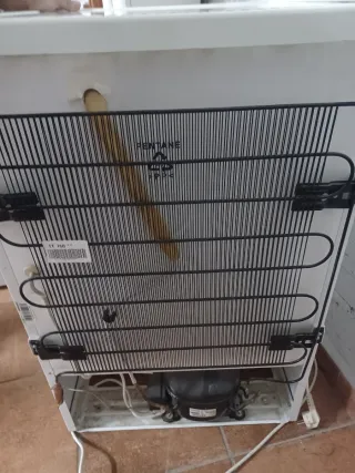 Nevera Corbero Blanca