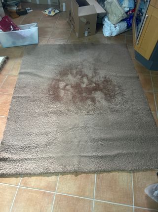 Alfombra beige y marrón