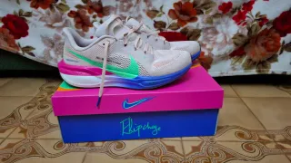 Nike Pegasus 41 Eliud Kipchoge Edición Especial