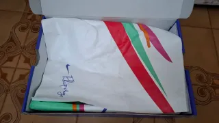 Nike Pegasus 41 Eliud Kipchoge Edición Especial