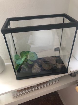 Acuario 30x25x30 cm - 11.5L