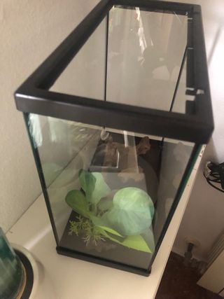 Acuario 30x25x30 cm - 11.5L