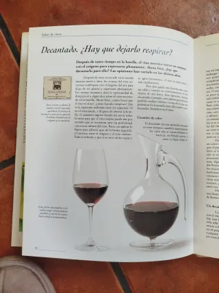 Libro Saber de Vinos