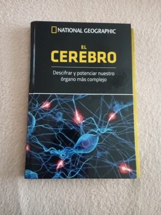 El cerebro
