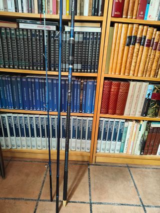 Caña Surfcasting Vega BlazerSurf 425