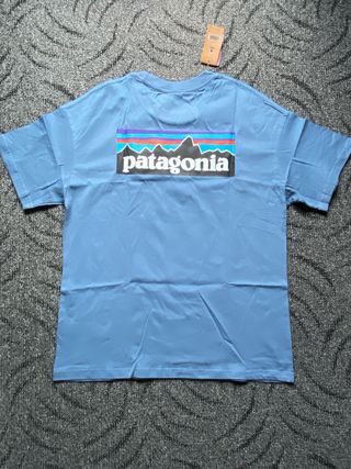 Camiseta Patagonia Azul