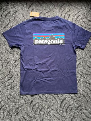 Camiseta Patagonia Azul