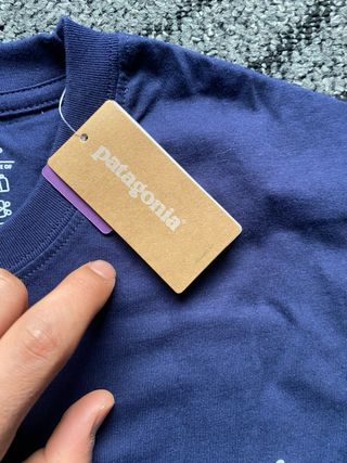 Camiseta Patagonia Azul