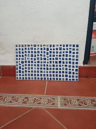 Restos azulejos cuadros azul