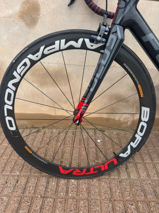 Bicicleta de Carretera Focus Bora Ultra