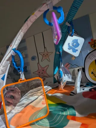 Baby Einstein 4 en 1 Kickin' Tunes