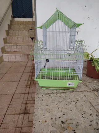 Jaula para pájaros verde y blanca