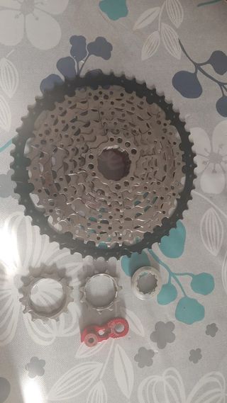 Piñonaje bicicleta  Velocidades 9 11T 50T