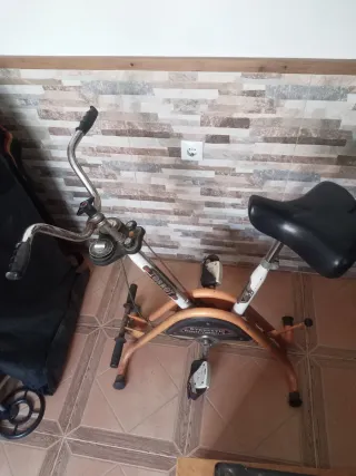 Bicicleta Spinning Antigua Torrot